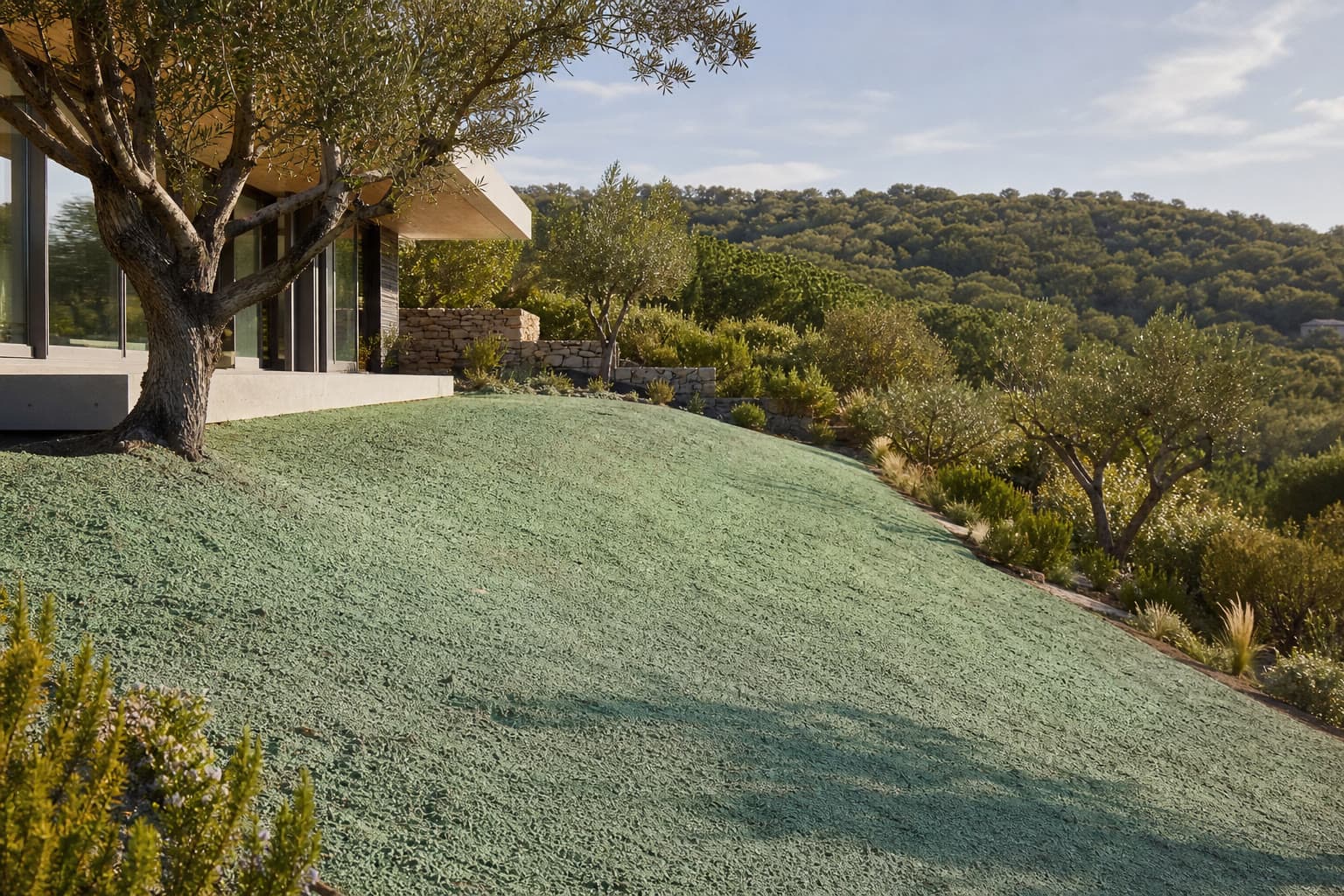 Terrain méditerranéen fraîchement hydroseedé près d'une maison dans le Sud de la France
